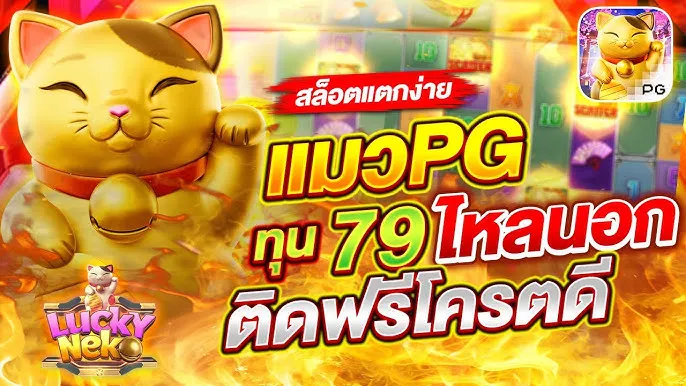 79 slot BY 79z